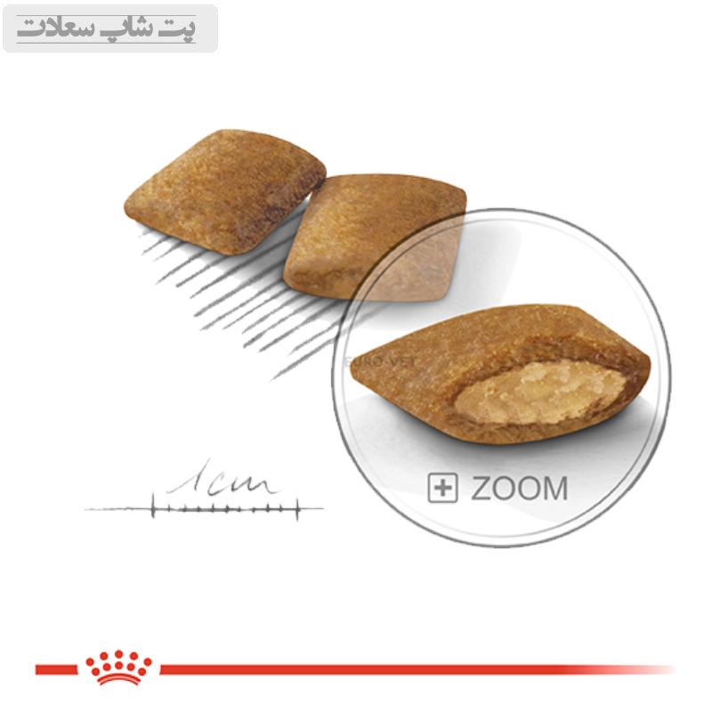 78db1a7fde39456cb4a40d327bb31809