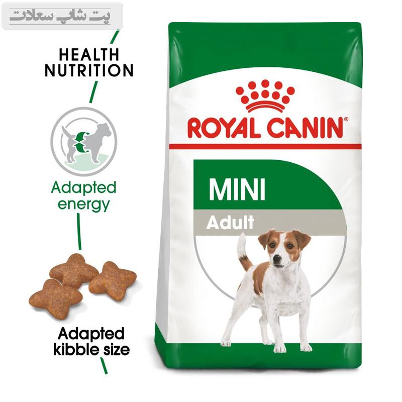 e3e4efa68d3c4e4ca53c2a26c662b184