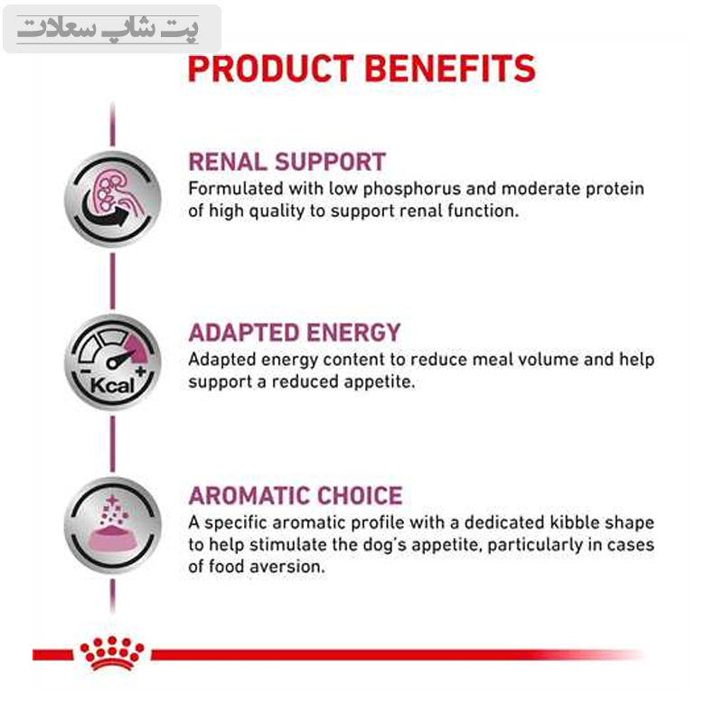 50ec2dd5a7be40dc8e95e6e39e20ba28