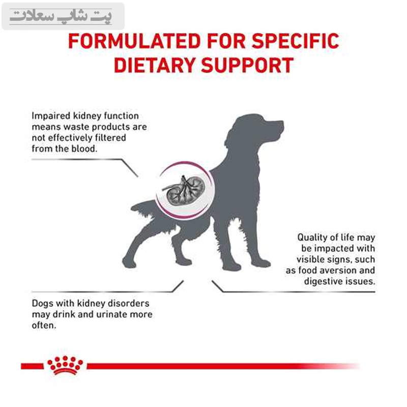 6a9474dca56148f2ba396053f8edacd7