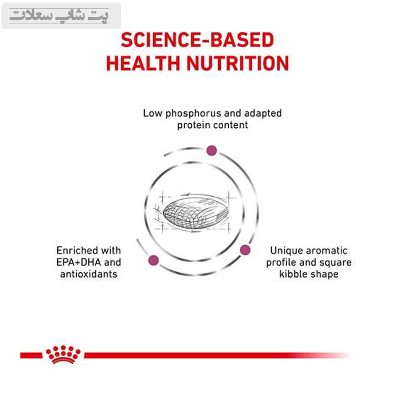 b0018814d10e48e189332a833d5c203d