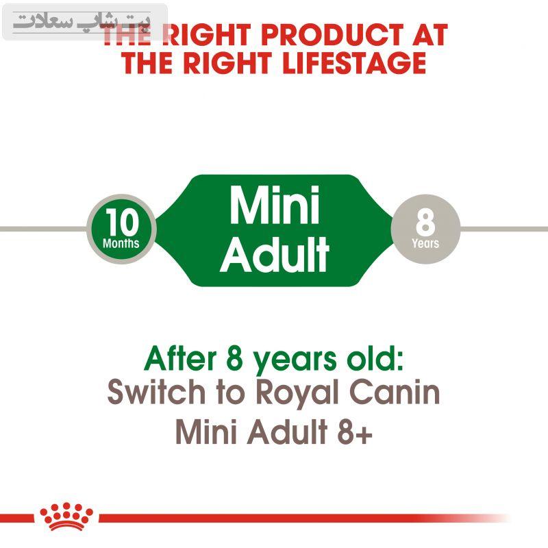 8e1b3a614f2d4f3d9a0c09f0878f2739