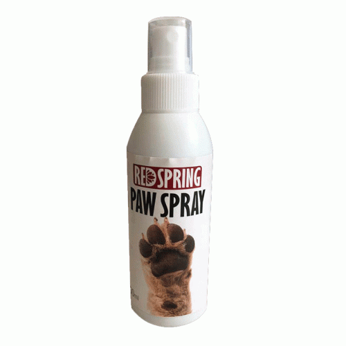 اسپری ضد عفونی کننده و تمیز کننده دست و پا رداسپرینگ مدل Paw Spray حجم 150 میلی‌لیتر