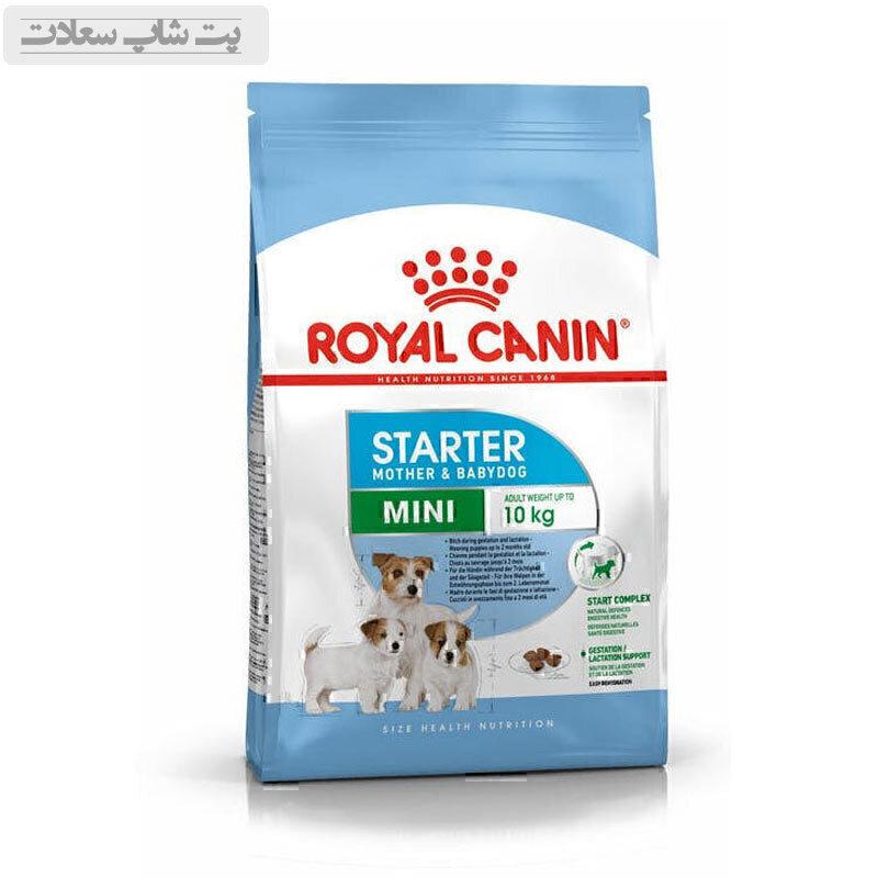 starter121s21df5sdf1sf5sf5s