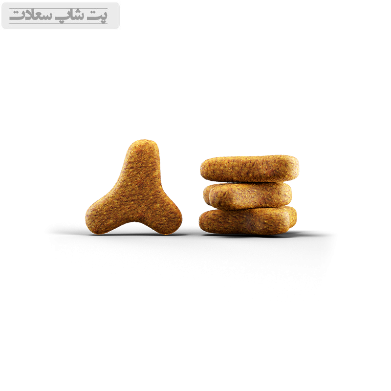 شکل غذا جوسرا خرید جوسرا کولینس 2 کیلویی با تخفیف