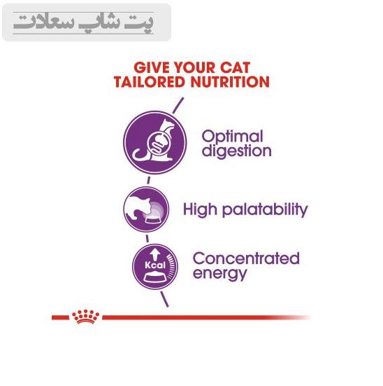 6ecfccc43d2542de8210d3b417eb8cb3