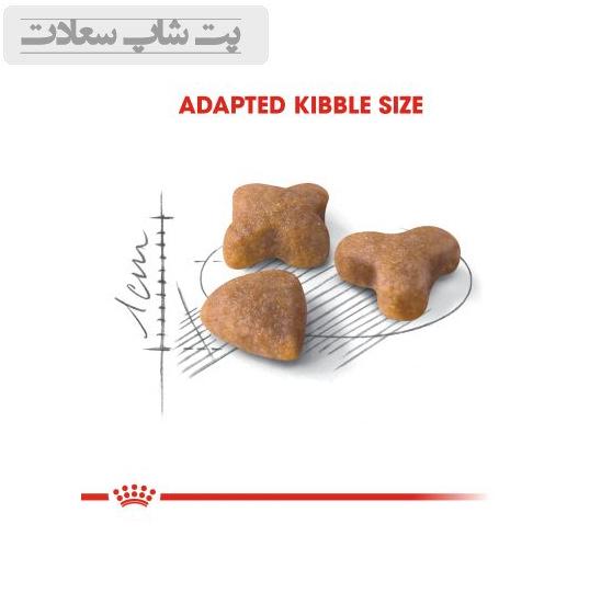 9c573fc6035a4eb58009341d6e63c79a