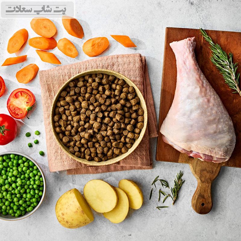 غذای خشک یا غذای خانگی