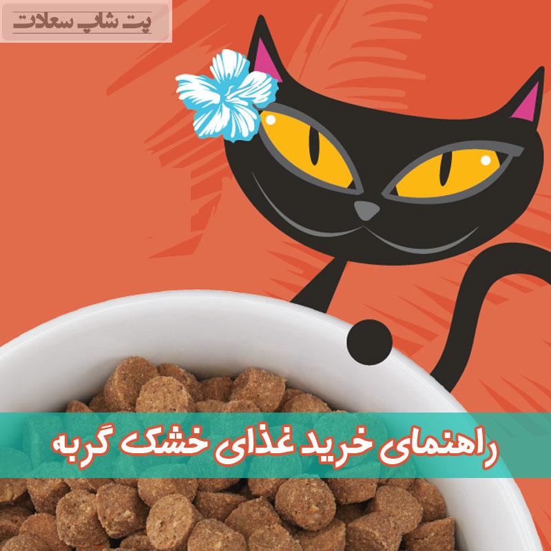 راهنمای خرید غذای خشک گربه