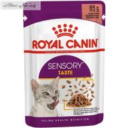 قیمت و خرید پوچ گربه رویال کنین مدل Sensory Taste وزن 85 گرم