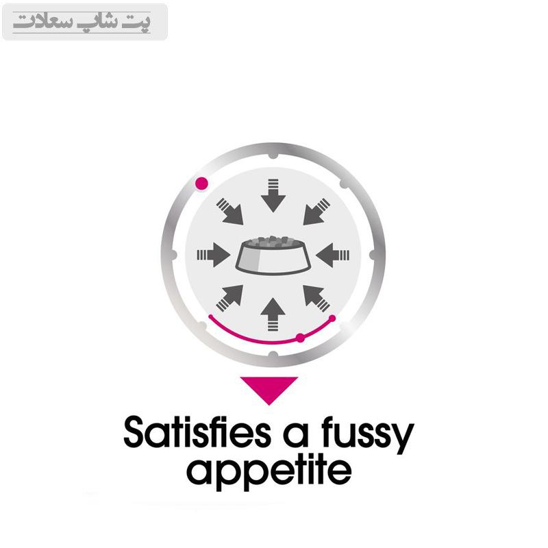 0d99175ba35241de9671eee093127d19