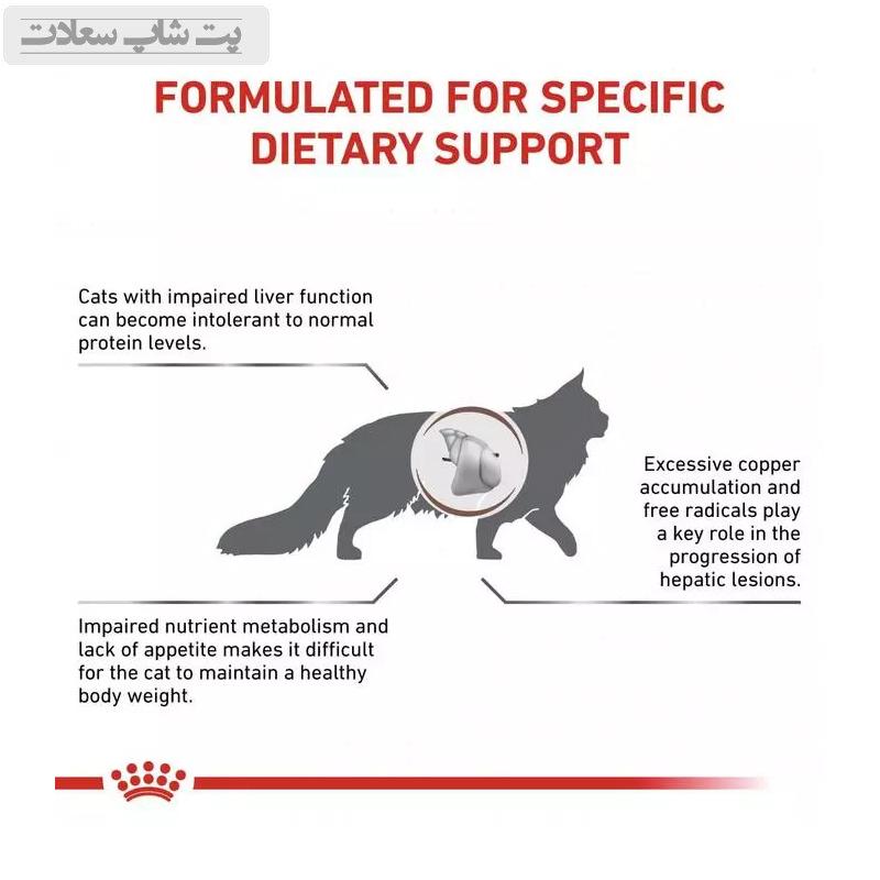 6502588cd90c4fa6a27ebcc25e24b151