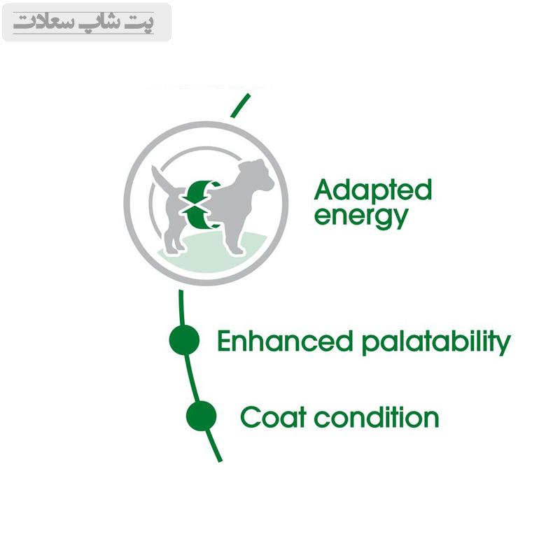 6ea16829587940ba98413eeb81287b31