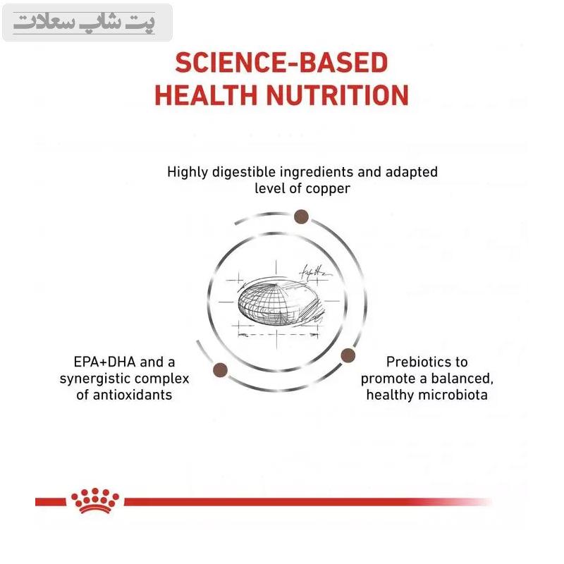 f4746e2b59ad43f58ba1c07699113651