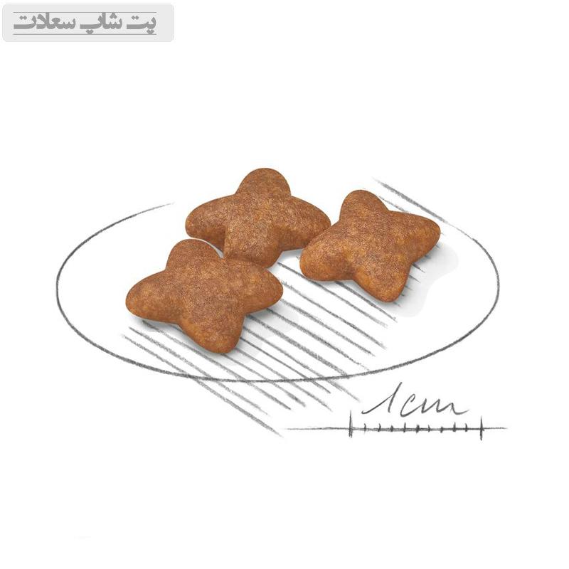 f74539cc07ef45ddb7742da9b63b0e9f