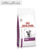 غذای خشک گربه مخصوص مشکلات کلیوی رنال رویال کنین Royal Canin Renal وزن 2 کیلوگرم