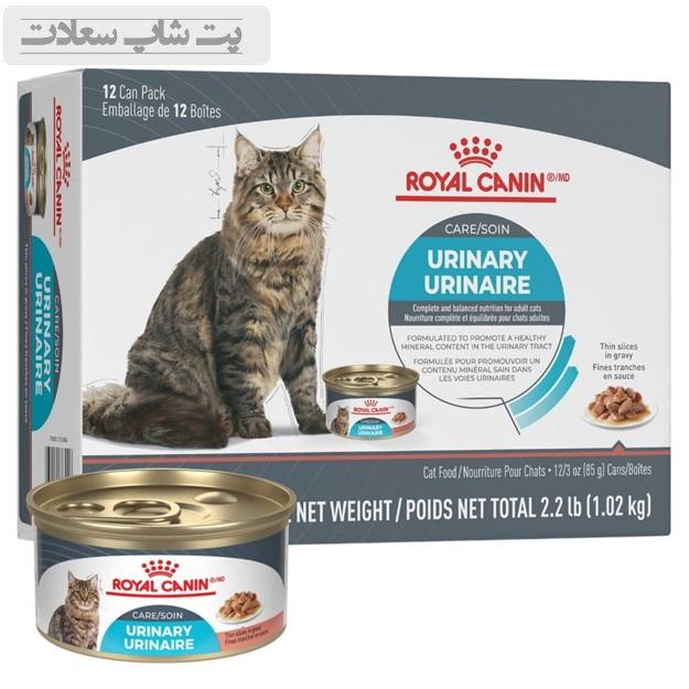 خرید غذای گربه royal canin