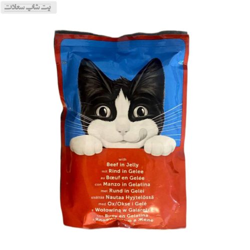 پوچ گربه فلیکس با طعم گوشت در ژله Felix Beef in Jelly وزن 85 گرم