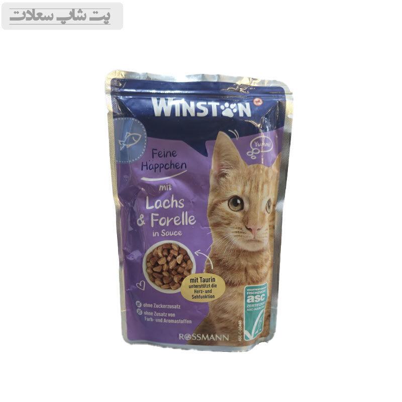 654654jygjhjhjhguu7777 پوچ گربه وینستون با طعم ماهی قزل آلا و سالمون