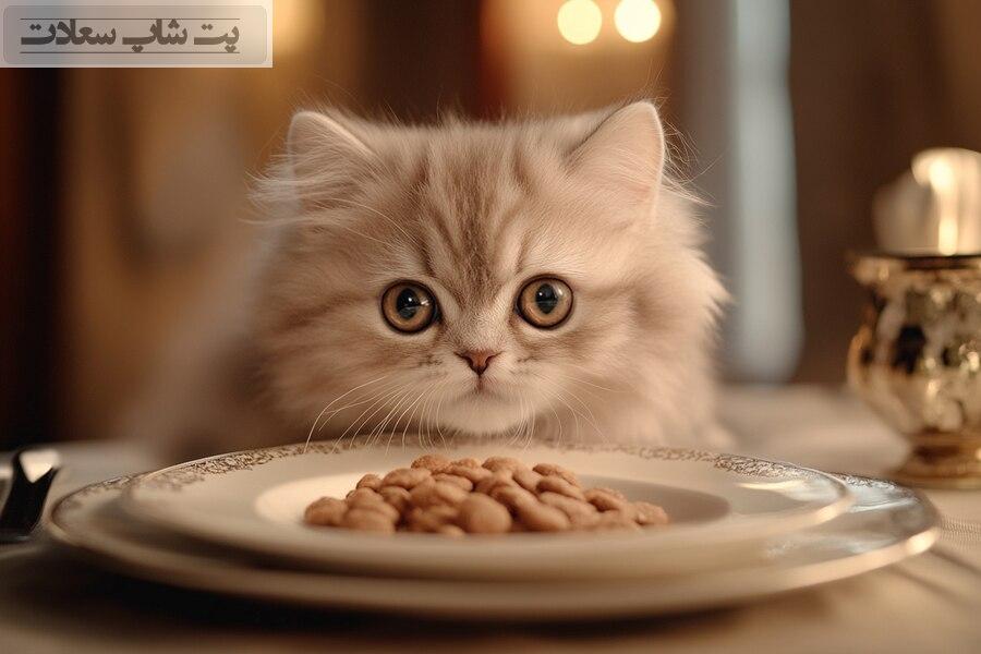 درمان خانگی بی اشتهایی گربه