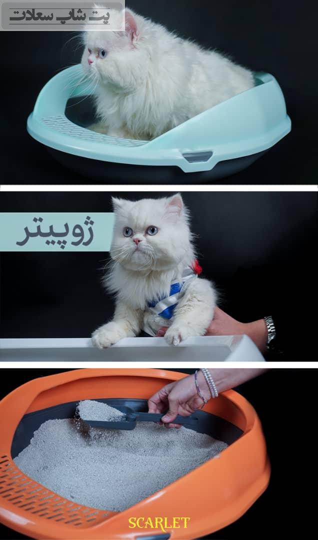 19a4e1ca-76cb-4a01-9261-cdbc462a12bb