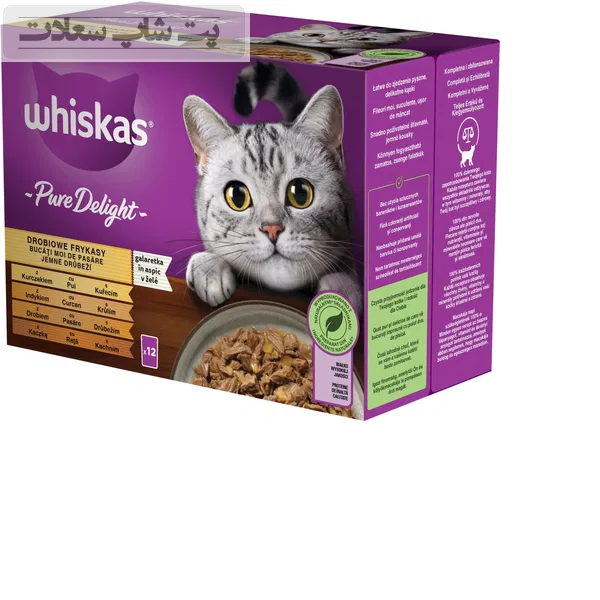 ewqewqweqdqdq3e33ee3