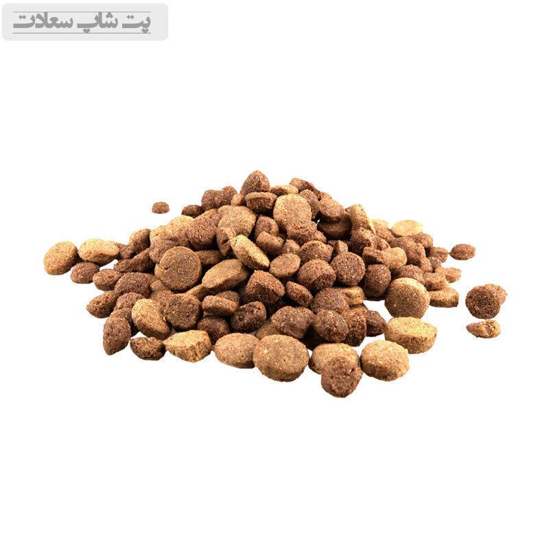 josifamil22s32s23s232d3232f2f