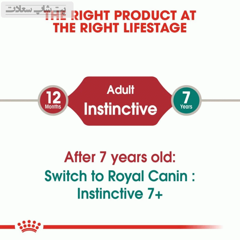 5sads4da4a9f47a9fa6ds54f6a4f