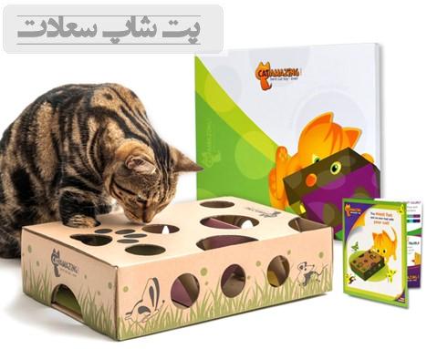 بهترین بازی برای گربه خانگی