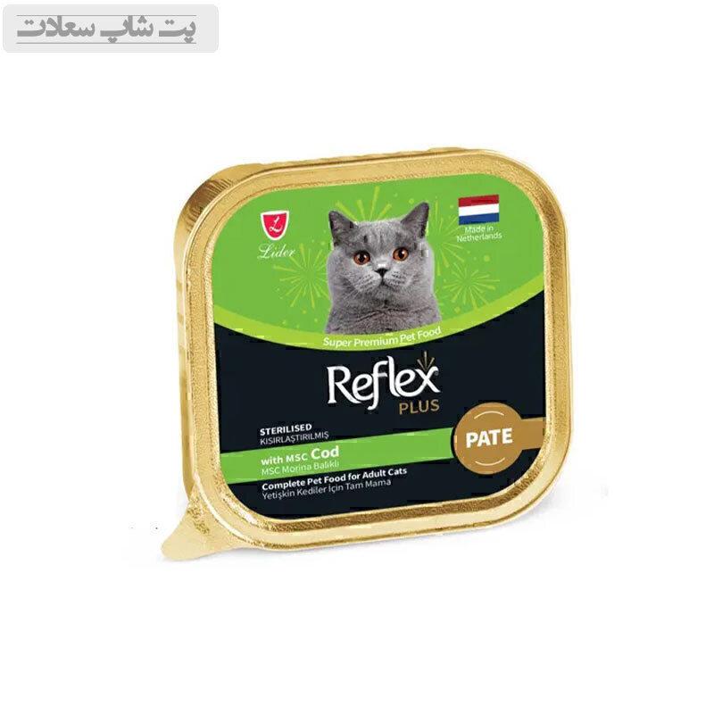 codx54v6xc4v6x5cv65xc4v6x4cv