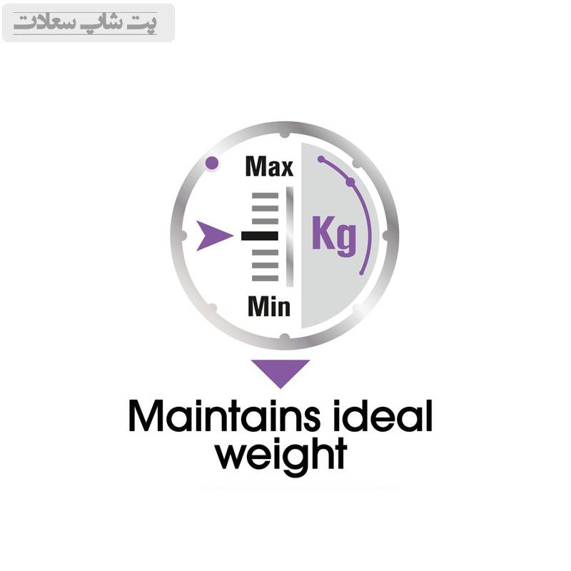 s3987s79s7s9797s97s9s77s97s