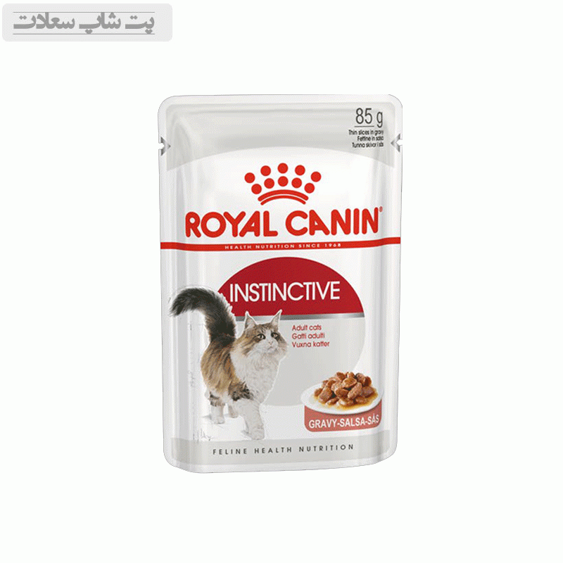 salsacc1d5f4s5d4fs5d4f