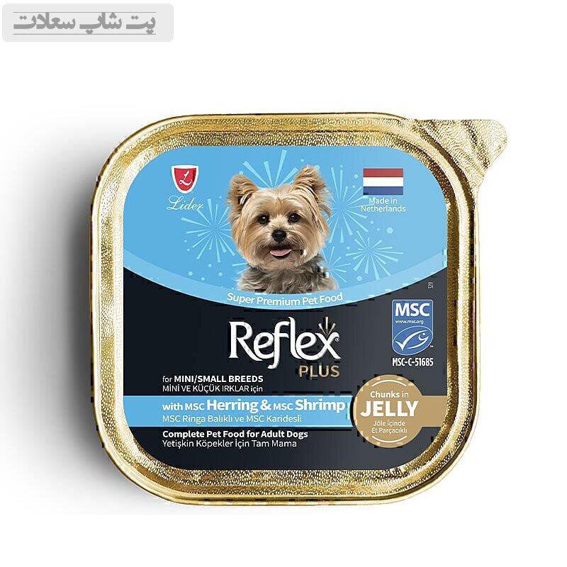 shiring5646546546lpllkp