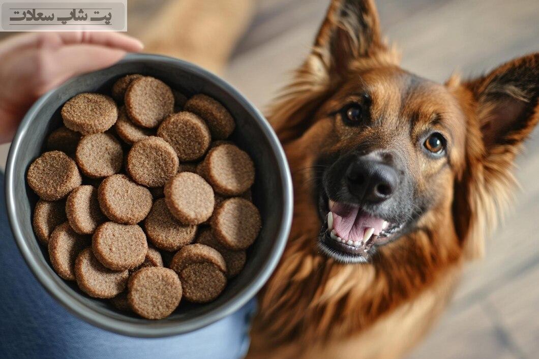 بهترین غذا برای سگ نگهبان چیست