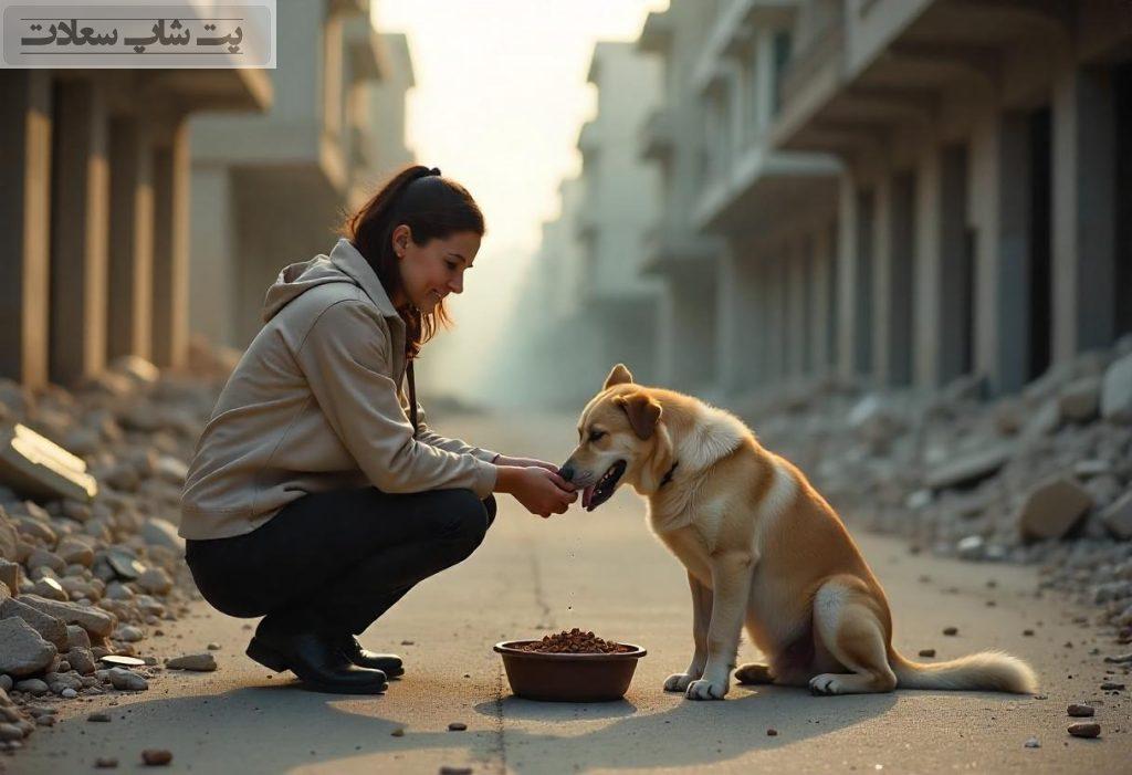 غذای سگ درزمان جنگ