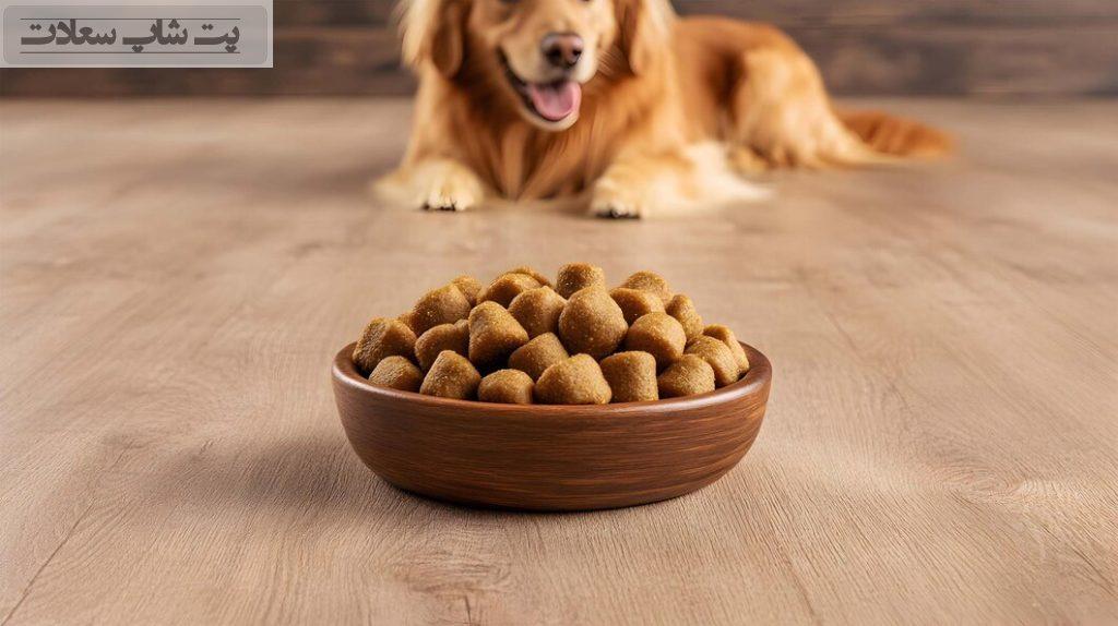 غذای مناسب سگ نگهبان