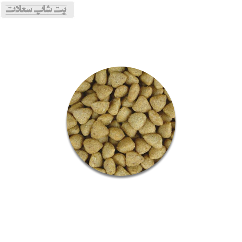 2222as2d3232sd322ds3s2d2sd3