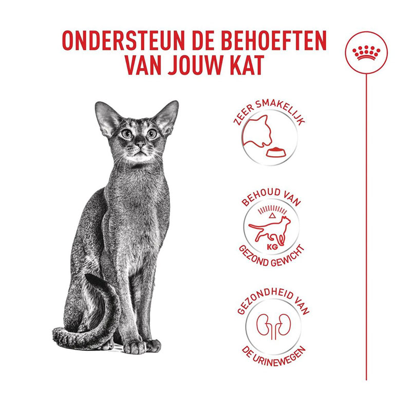 غذای خشک گربه رویال کنین مدل فوسی اگزیجنت Royal Canin Fussy Exigent وزن 2 کیلوگرم - Image 4