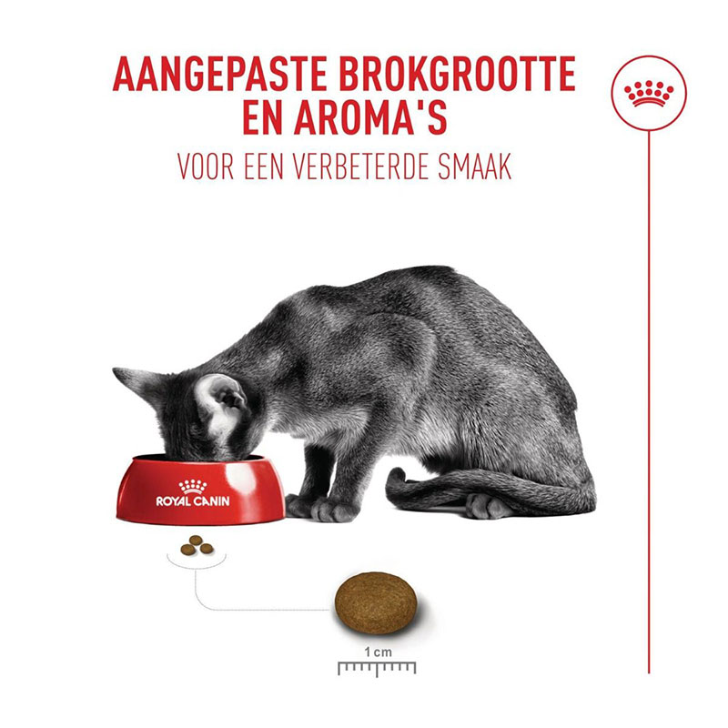 غذای خشک گربه رویال کنین مدل فوسی اگزیجنت Royal Canin Fussy Exigent وزن 2 کیلوگرم - Image 3
